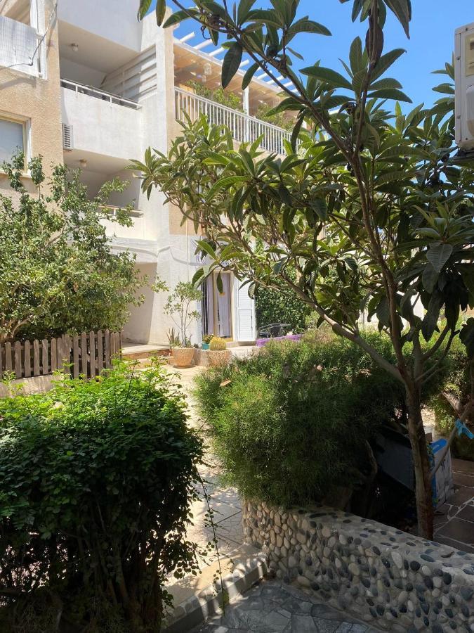 Stay With Oleg C17 Paralimni Exteriör bild