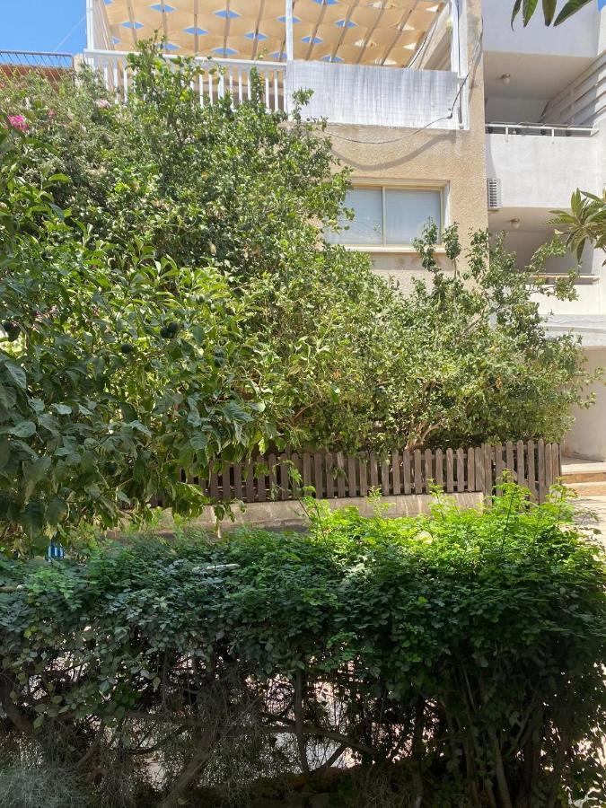 Stay With Oleg C17 Paralimni Exteriör bild